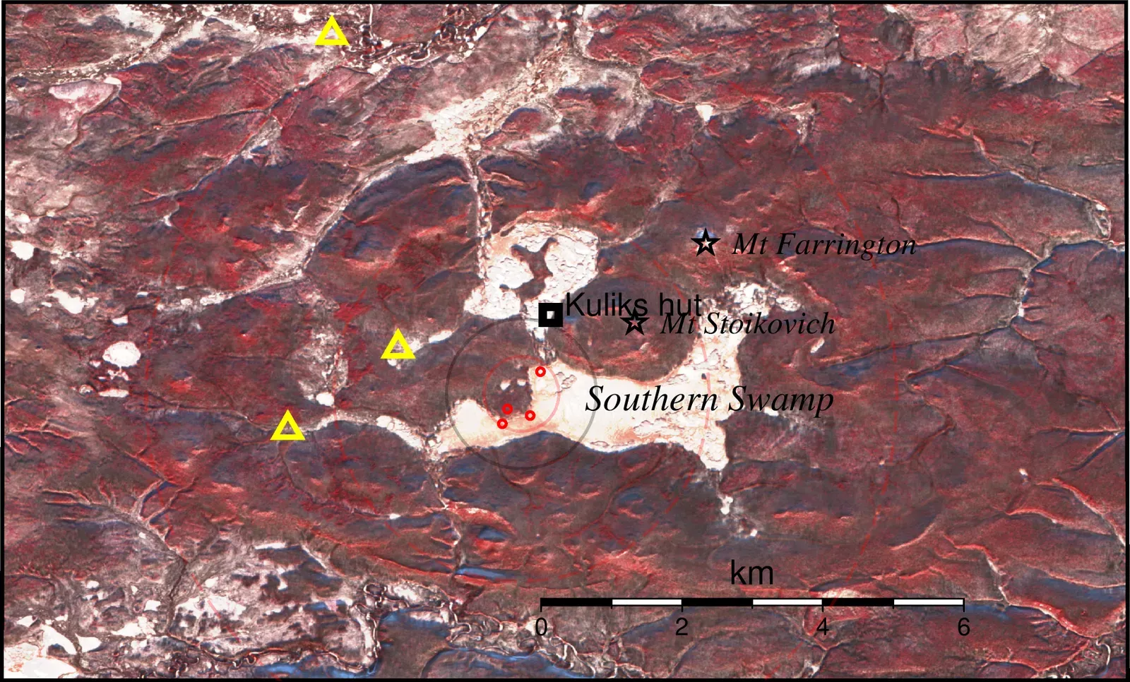 The centre of the Tunguska blast zone with standing dead trees