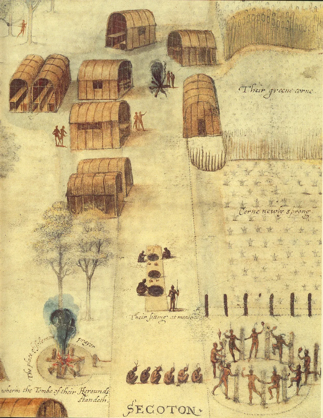 John White's watercolour of the village of Secoton