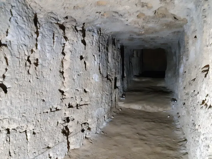 Ruins of the Serapeum of Alexandria, with Pompey's Pillar