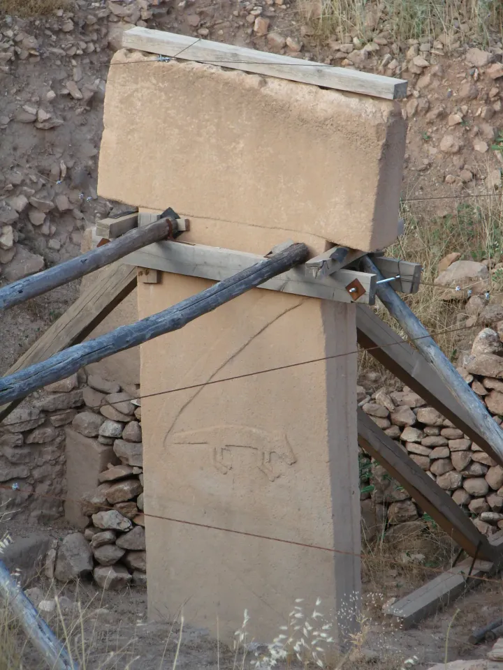 Pillar showing carved arm and fox relief at Göbekli Tepe