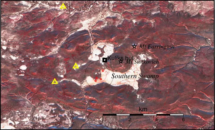 The centre of the Tunguska blast zone with standing dead trees