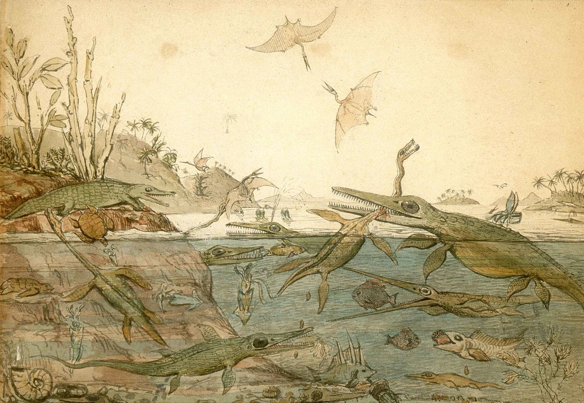 Duria Antiquior — plesiosaurs in their prehistoric habitat