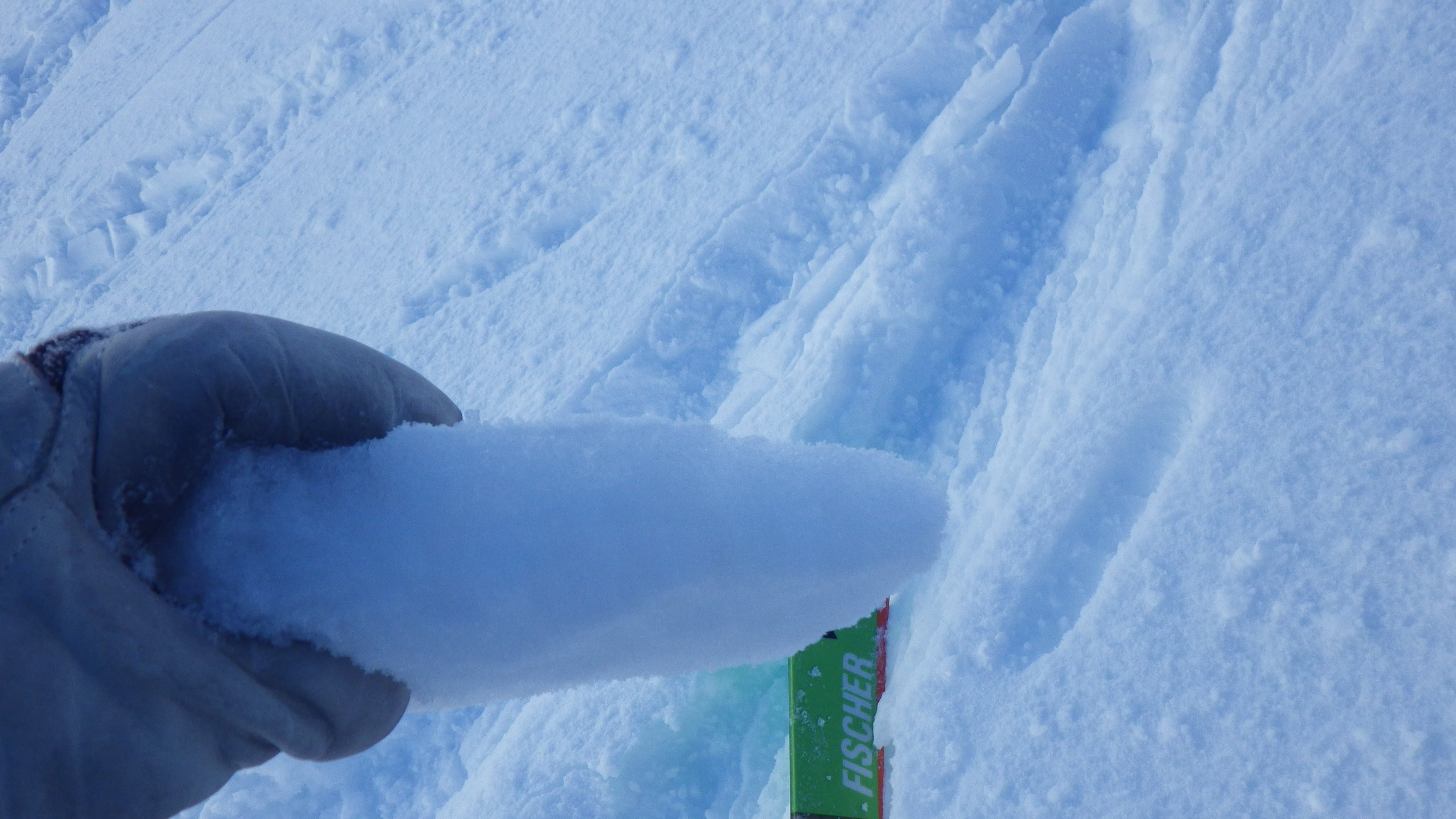 Cross-section of a wind-compacted snow slab