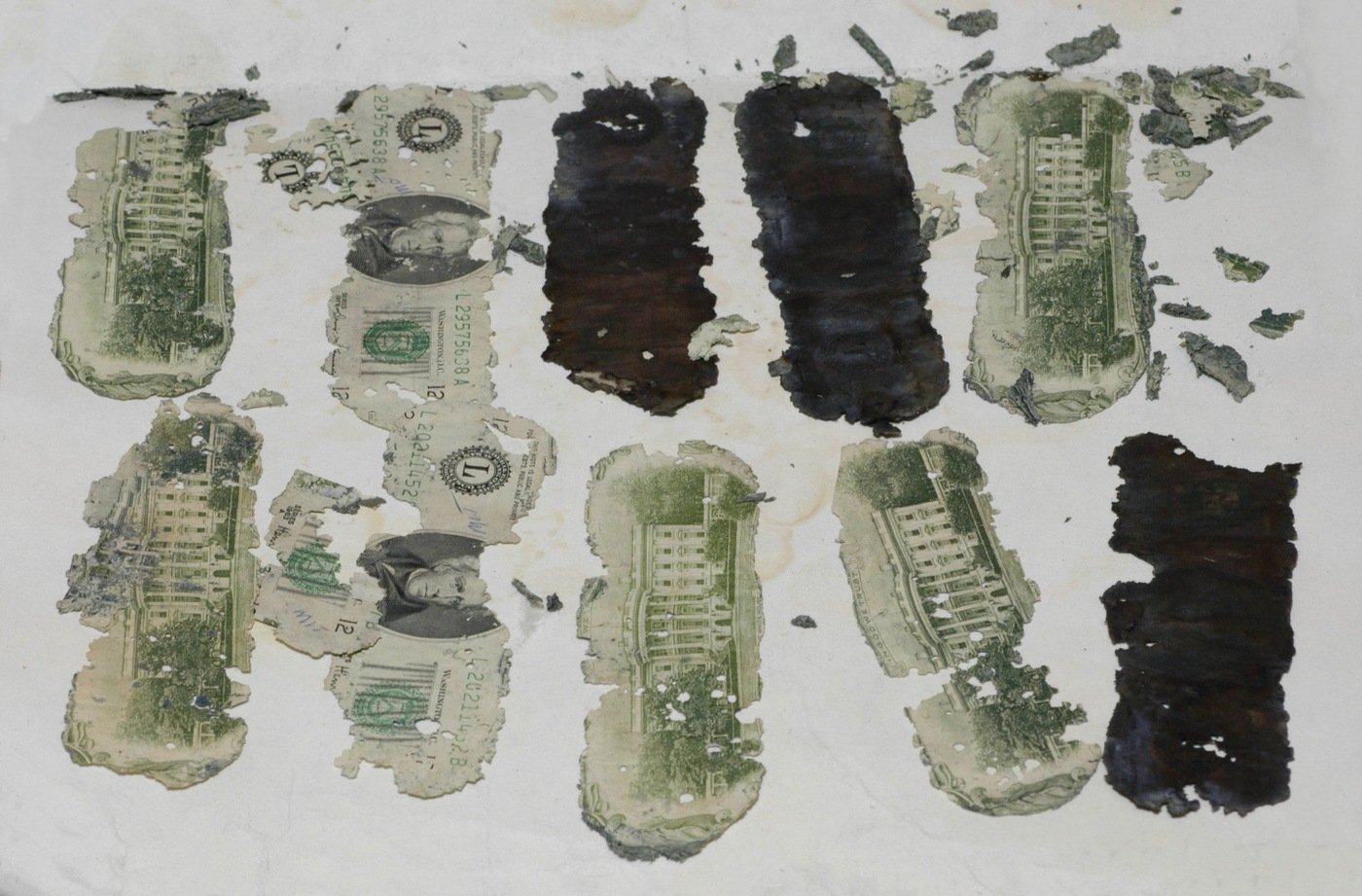 Deteriorated $20 bills from D.B. Cooper's ransom, found at Tena Bar in 1980