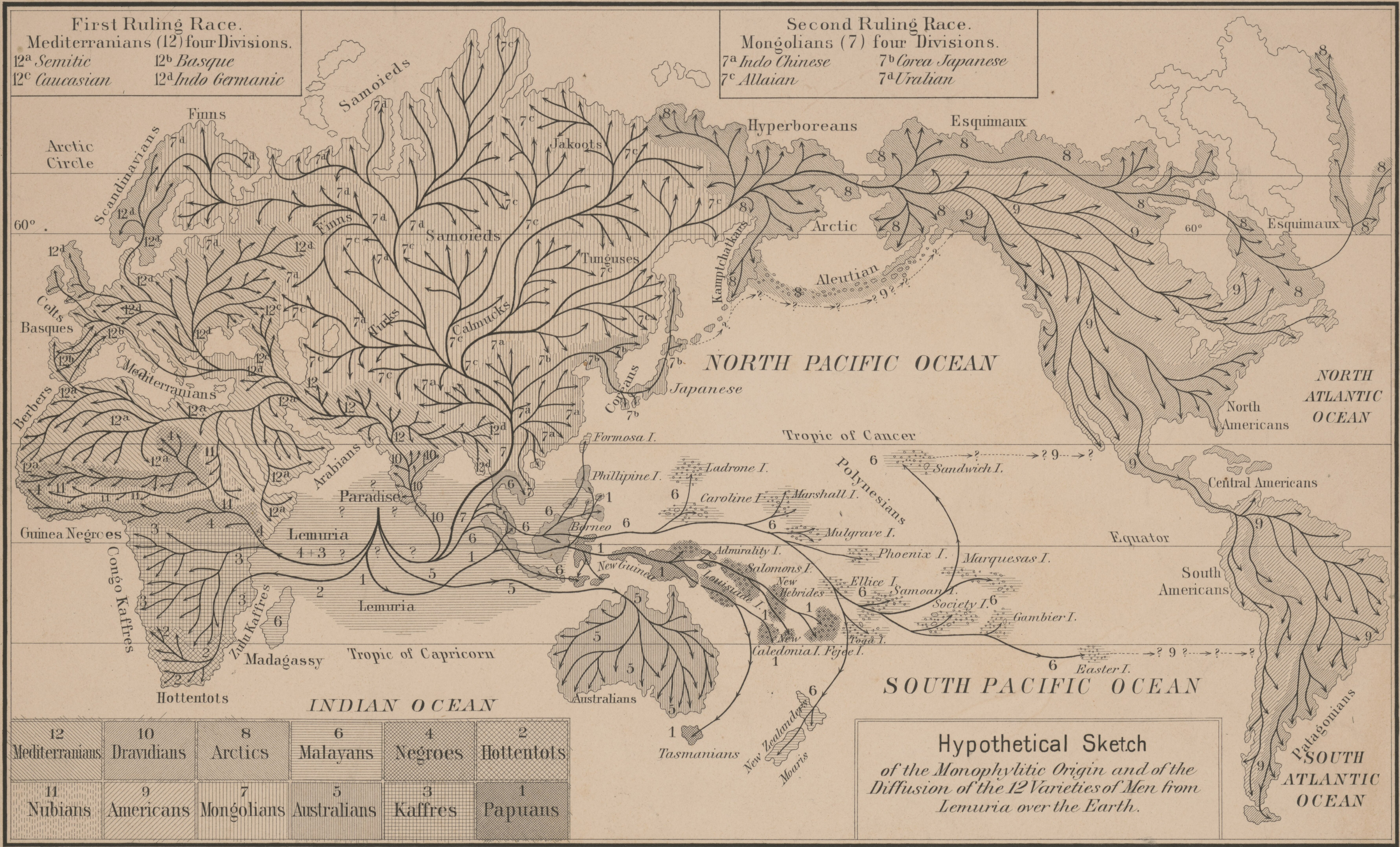 Haeckel's 1870 migration map showing twelve races originating from Lemuria