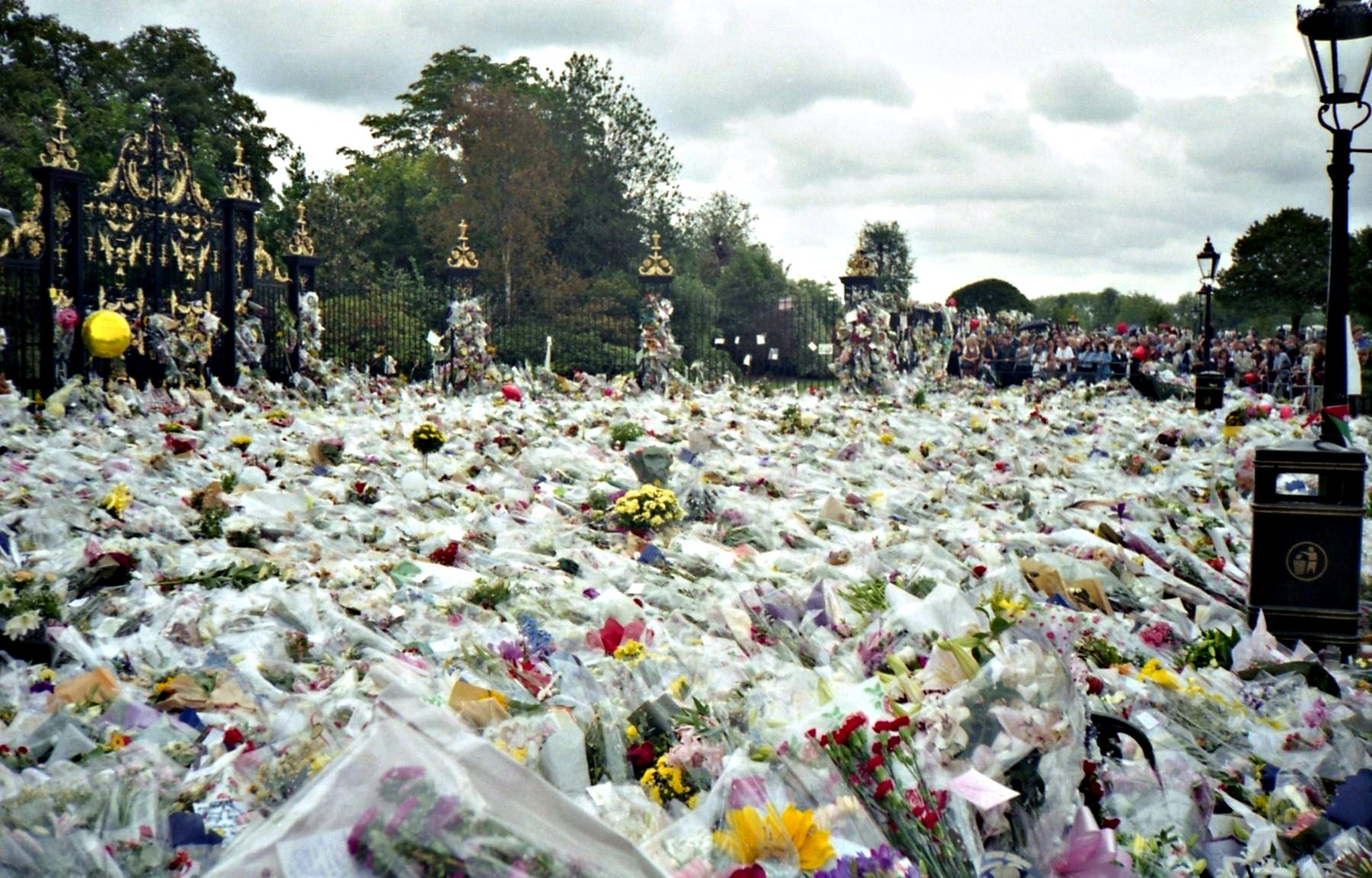 Sea of flowers at Kensington Palace