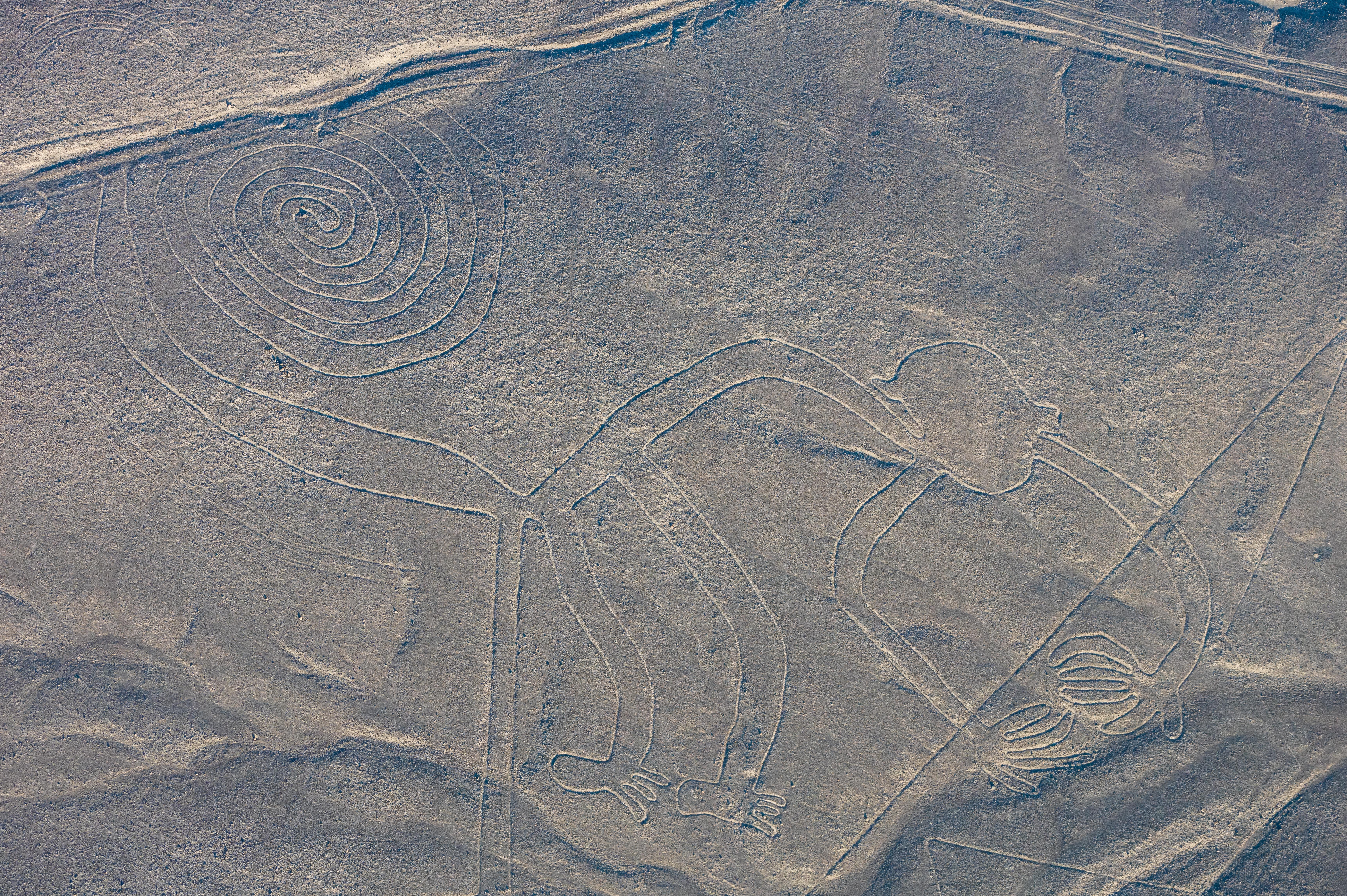 Aerial photograph of the Nazca monkey geoglyph