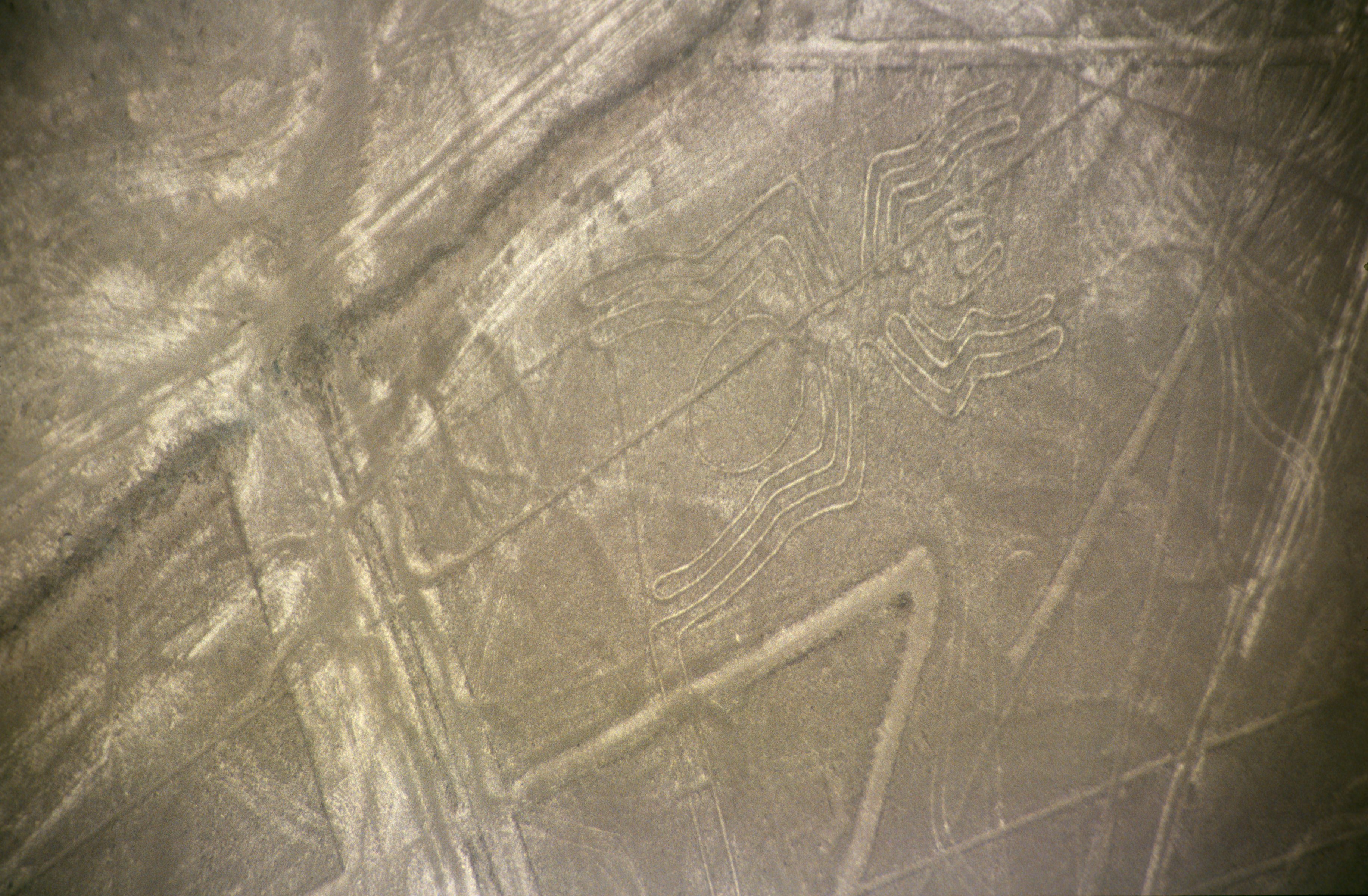 Aerial photograph of the Nazca spider geoglyph