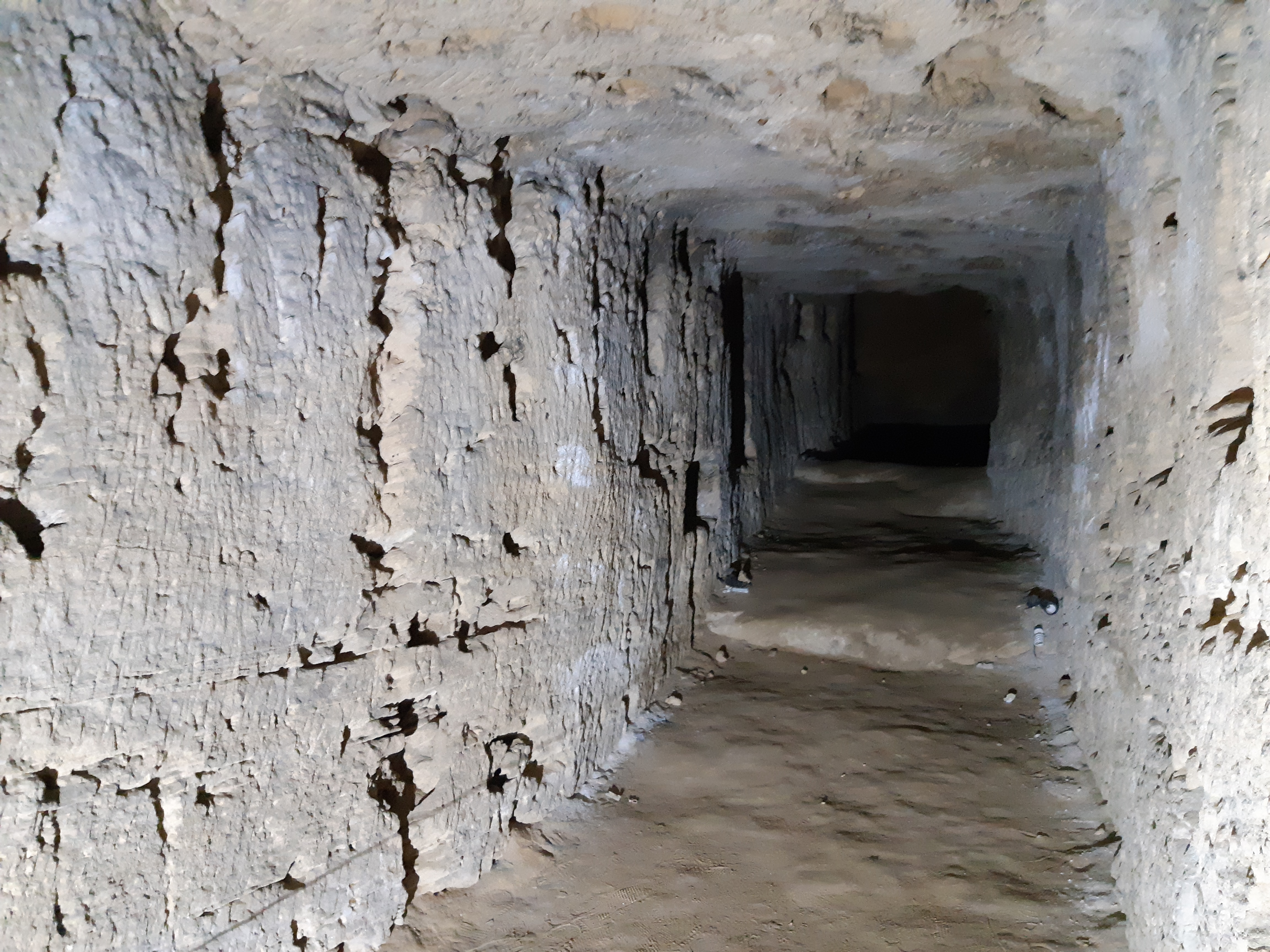 Ruins of the Serapeum of Alexandria, with Pompey's Pillar